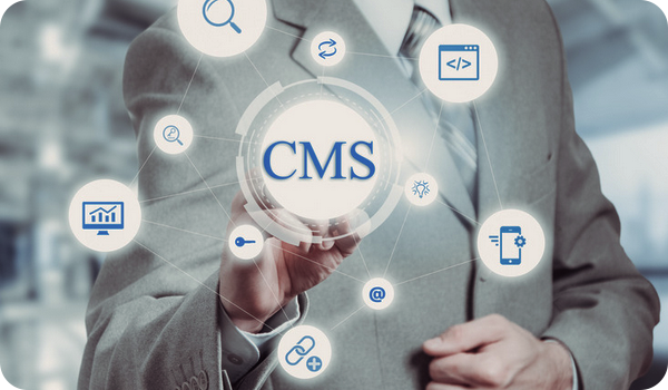 CMS Development Services