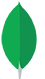 MongoDB_icon-80px_1.webp