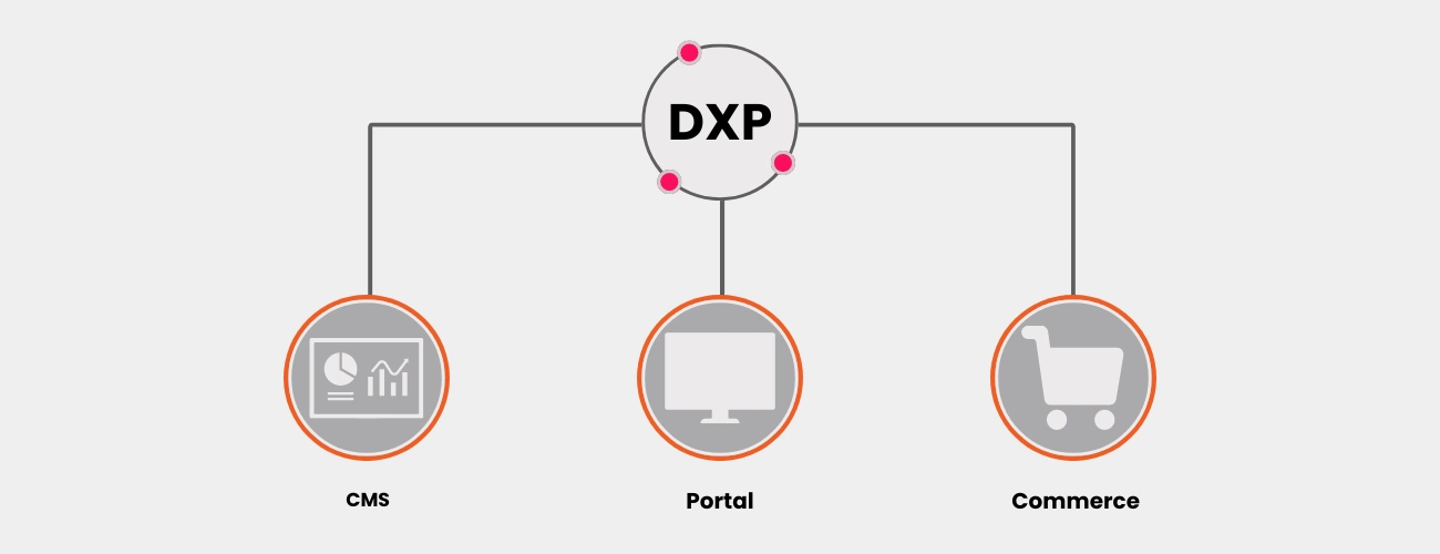 Kentico_Development_Model-1300.webp